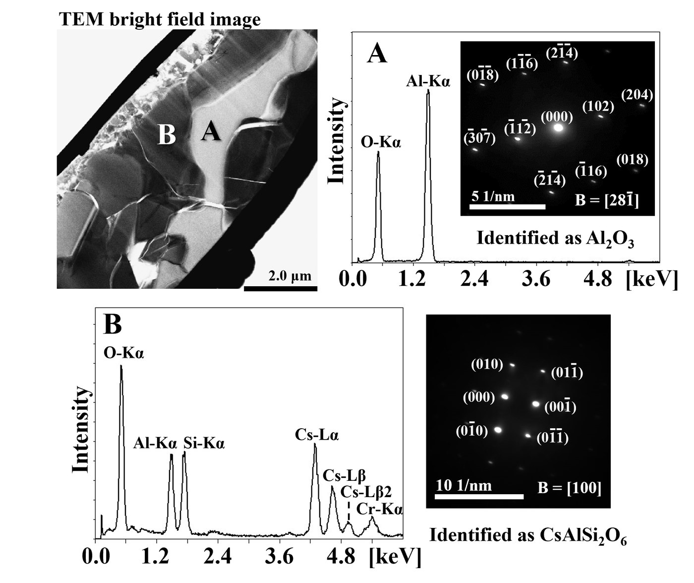 FIB-TEM analysis identifying pollucite in the reacted specimen